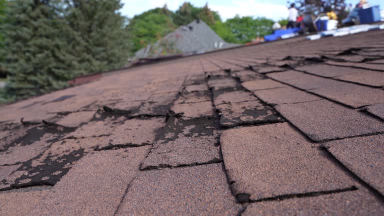 Best Commercial Roofing Services  in Shil, OH