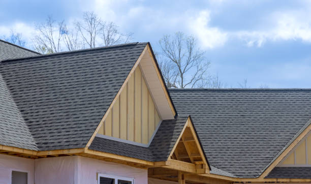 Professional Roofing in Shiloh, OH