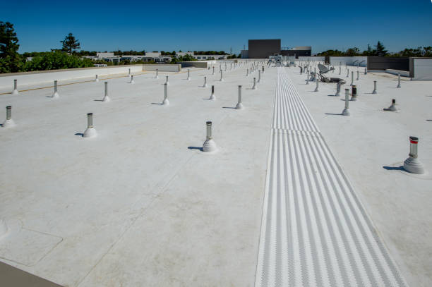 Best Cold Roofs  in Shil, OH